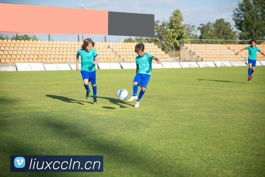 App Interface Preview